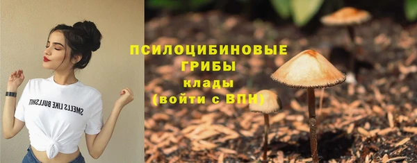 Альфа ПВП Богородск