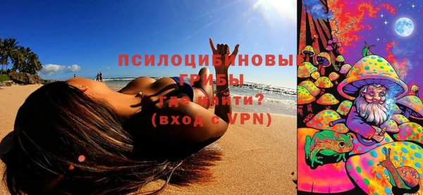 хмурый Богородицк