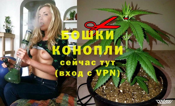 Альфа ПВП Богородск