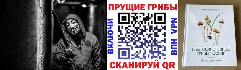 Купить где Вуктыл Псилоцибиновые грибы MAGIC MUSHROOMS